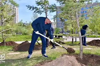 Олжас Бектенов вместе с заместителями посадил деревья в Астане