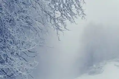 В трёх областях Казахстана ожидается туман