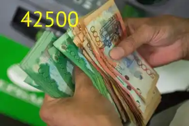 Казахстанцы подали почти 5 млн заявлений на получение 42500