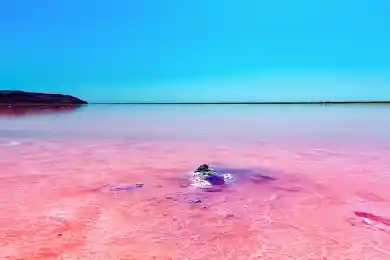 «Розовое» озеро Кобейтуз назвали вредным для людей - Мирзагалиев