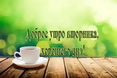 Bestnews.kz желает вам позитивного вторника!