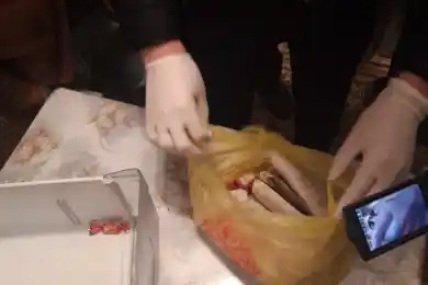 В Алматы ликвидирован канал поставки наркотиков