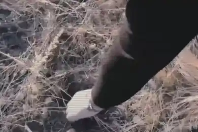 Полиция выявила свыше 500 закладок наркотиков в Атырау, Уральске и Аксае