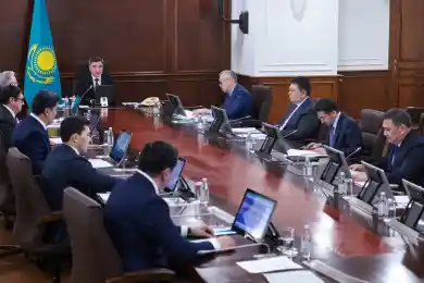 Футбол, закон для детей, тигры, дороги – как в Правительстве будут исполнять поручения Главы государства