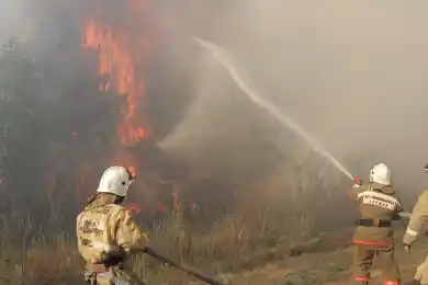 Как тушат пожар в области Абай, перекинувшийся с территории России