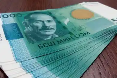 День рождения сома, день чистоты в комнате - даты и события 10 мая