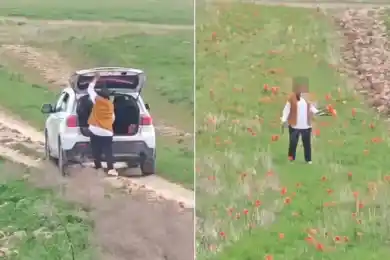 В Генпрокуратуре Казахстана назвали «суровым» штраф женщине за срыв краснокнижных тюльпанов