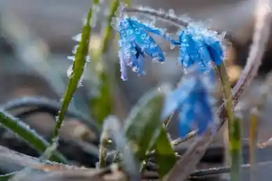 Заморозки, дожди и грозы: погода по Казахстану на 6 мая