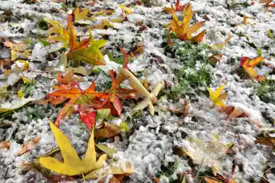 Гололед и метель на выходные ожидаются в Казахстане