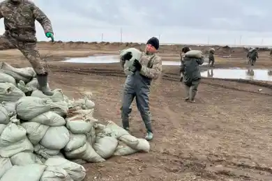 В Шетском районе во время паводков утонули коровы и лошади