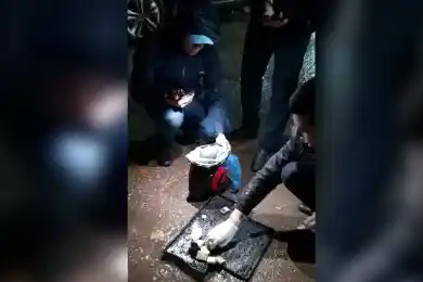 В КНБ рассказали о приговоре жителю Тараза за поставки гашиша 