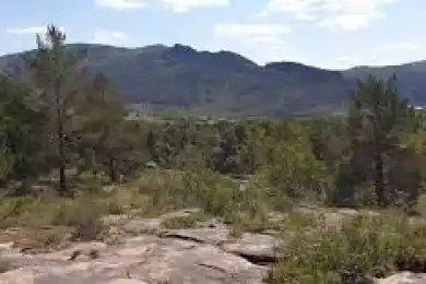 В Баянауле потушили загоревшийся сухостой