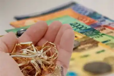 Ломбарды-мошенники: Генпрокуратура возбудила 22 уголовных дела 