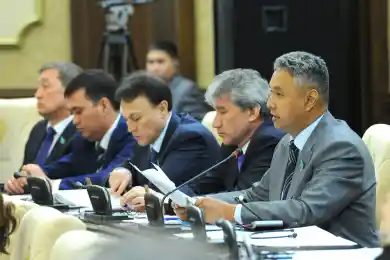 В партии «Ақ жол» назвали дату предвыборного съезда