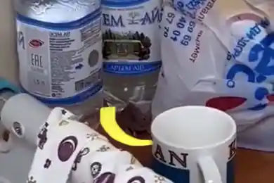 Шок: в Атырау подтвердили наличие мышей в роддоме и объяснили их появление