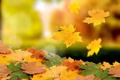 На юге - жара, на севере - морозы: погода по Казахстану на выходные 