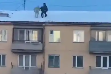 Спасли голого мужчину на крыше: полицейских наградили в Караганде