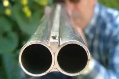 В Северо-Казахстанской области мужчина расстрелял из ружья жену и внучку