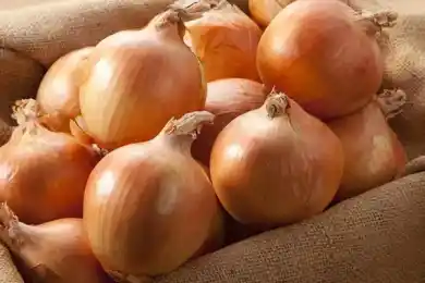 В Казахстане нет запрет на вывоз лука - Минторговли