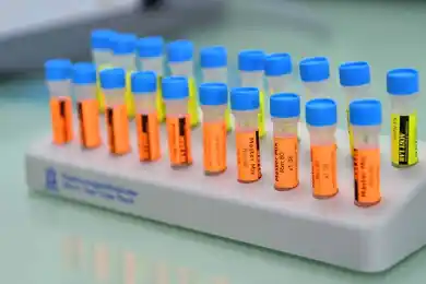 В МОН заявили, что вакцина QazVac будет востребована, несмотря на закуп импортных аналогов