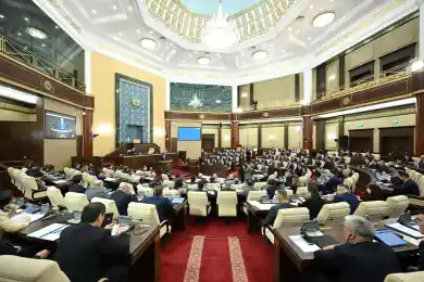 Мажилис провел крайнее заседание в уходящем 2025 году
