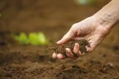 Глава МСХ РК сообщил о возврате государству 5,2 млн га земли, но поименно латифундистов не назвал