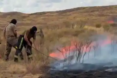 В Карагандинской области локализован один из очагов загорания сухой травы