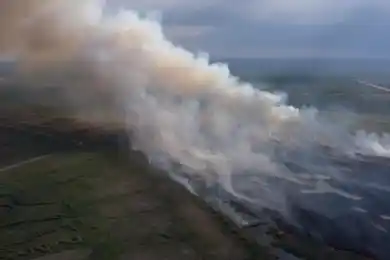 Видео: близ Нур-Султана продолжает гореть камыш - МЧС направил вертолет с водой