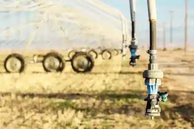 В Казахстане на 158 тысячах гектарах земель внедрили водосберегающие технологии