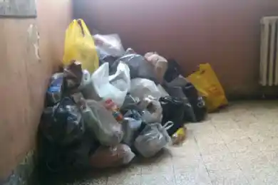 Токаев: "Если кто-то приехал из села, пусть научится работать со своими отходами"