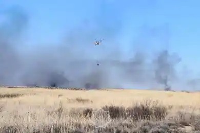 В Алматинской области загорелся сухостой