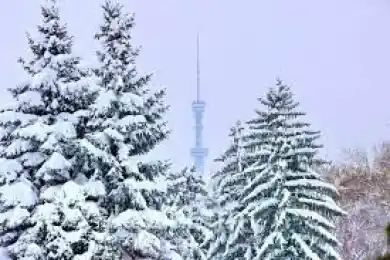 Погода в Астане, Алматы, Шымкенте на три дня
