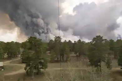 В ВКО горит сосновый лес, жара и ветер мешают пожарным