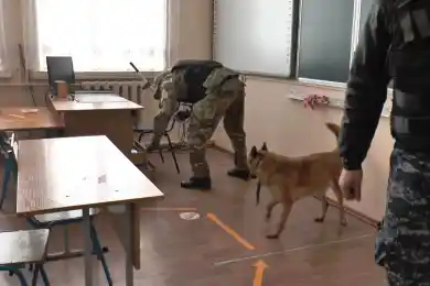 Письма о "заминировании" получили еще 22 школы - полиция Алматы