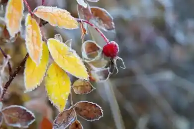 Похолодание и осадки: погода по Казахстану на 2-4 ноября