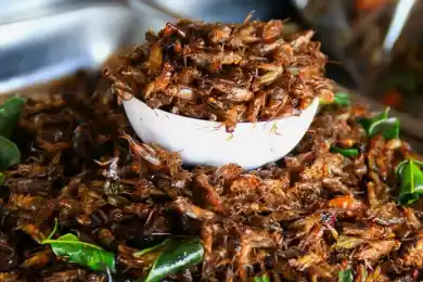 Будет ли Казахстан экспортировать саранчу