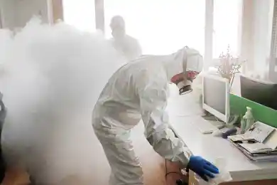 Нур-Султан наводит крысоту – в столице обработают 25 тысяч домов