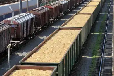 Казахстан готов увеличить экспорт зерна в Китай и расширить товарооборот