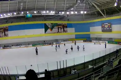 Детей, чьи родители пожаловались на подорожавший хоккей в Алматы, восстановили в клубе