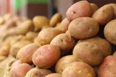 "Узбекистан и Россия могут  закупить у Казахстана картофель" - Карашукеев