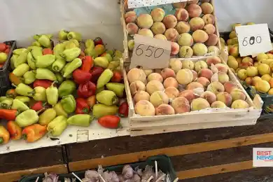 В Нур-Султане пройдет сельхозярмарка Жамбылской области