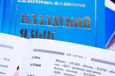 Установлены нормы знания госязыка для получения гражданства Казахстана