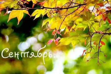 Bestnews.kz желает вам счастливого сентября! 