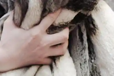 Студентку подозревают в краже чужих шуб