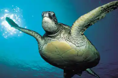 Какие даты и события отмечаются 23 мая