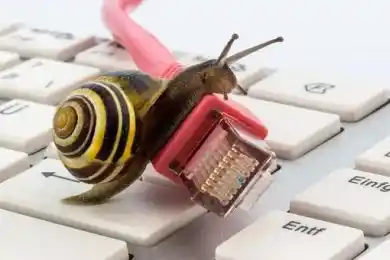 Министерство Казахстана сделало заявление после жалоб на перебои с Интернетом