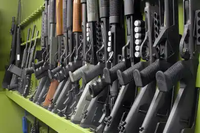 В Астане полиция проверяет владельцев оружия