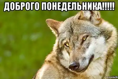 Пусть каждый понедельник встречает вас улыбкой!