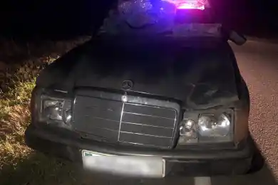 В Кызылжаре «Мерседес» наехал на жеребенка, все уцелели, у авто вдребезги лобовое - фото