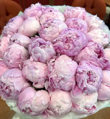 Для Джорджи Мелони в Астане подготовили красивый букет 